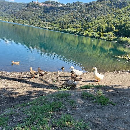 Casetta Incantevole Genzano Di Roma Zewnętrze zdjęcie